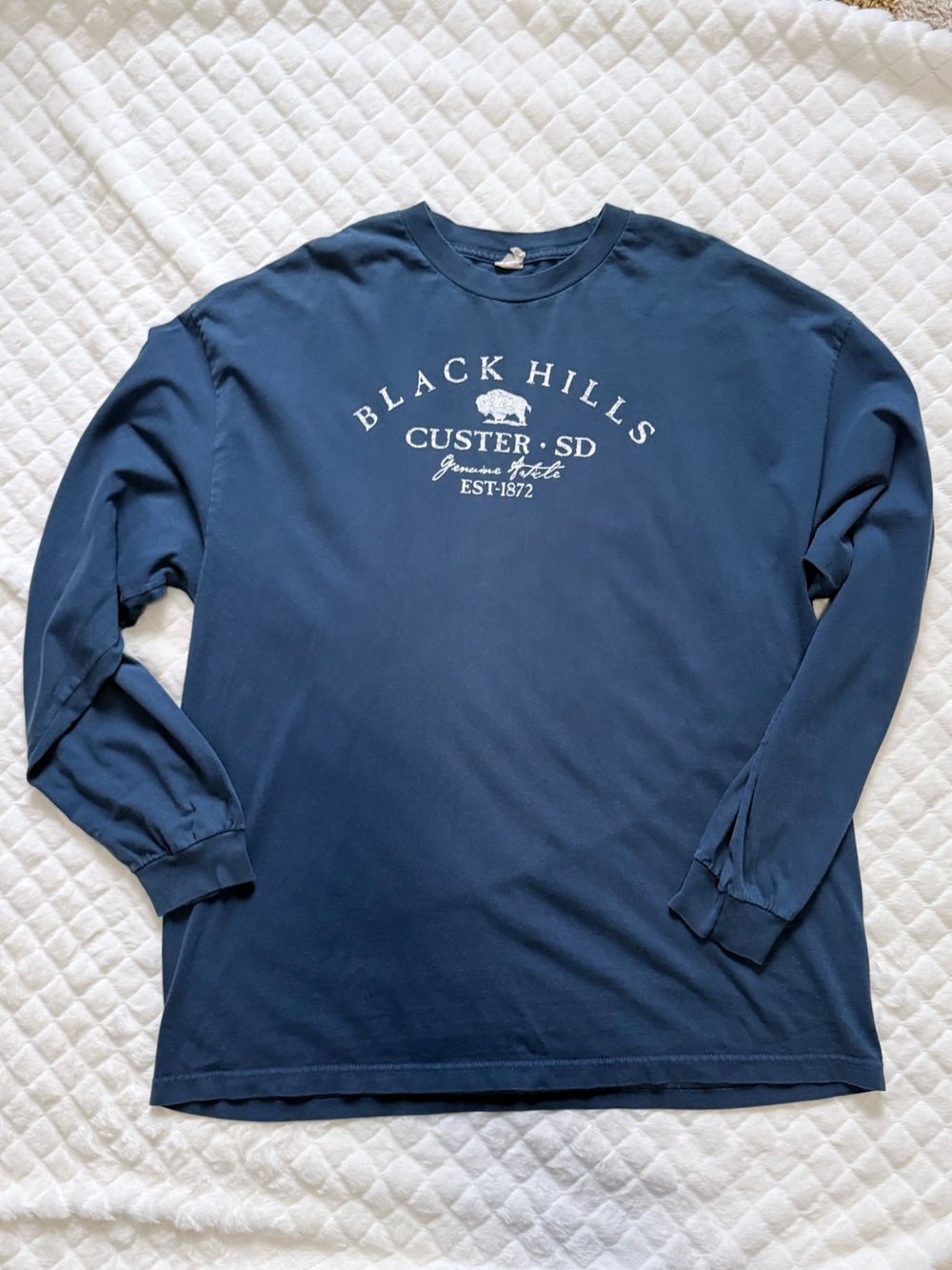 Vintage Travel Oversized Black Hills Custer SD Blue Long Sleeve Crewneck Shirt